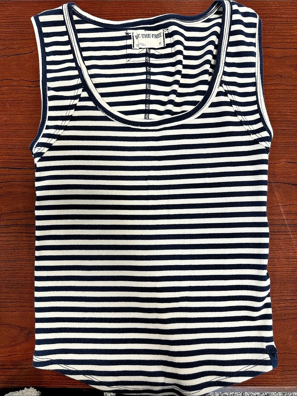 We The Free Hummingbird Stripe Tank Top Blue & Cream Medium